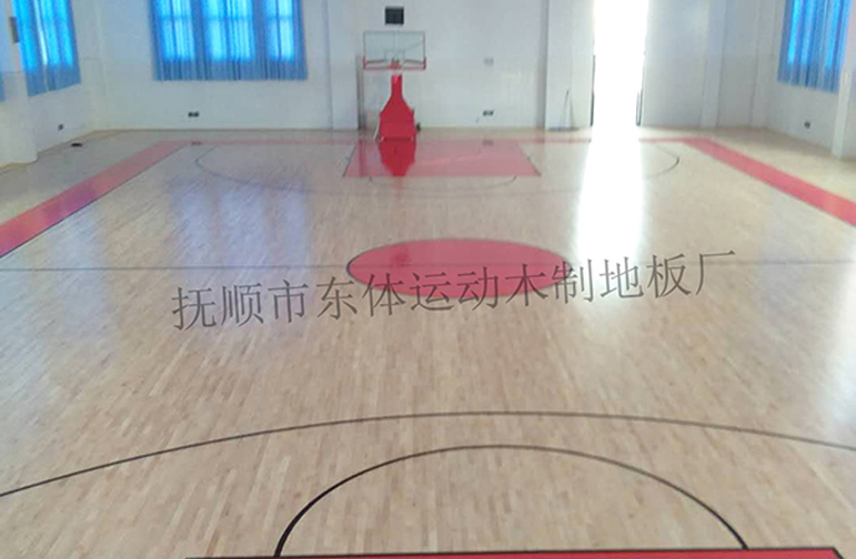 山東德州寧津籃球館